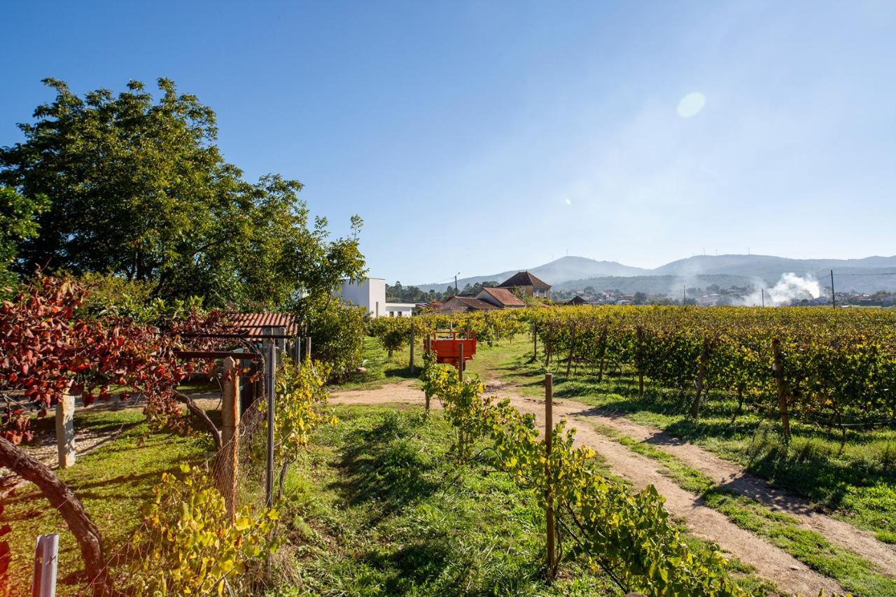 Quinta De Vila Nova - Agroturismo Monção Exterior foto